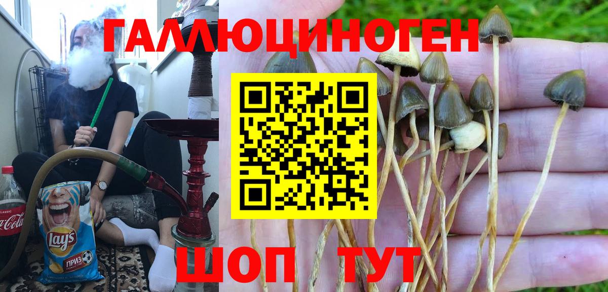 Комсомольск-на-Амуре  Псилоцибиновые грибы мицелий  Псилоцибиновые грибы GOLDEN TEACHER  Вход с VPN 