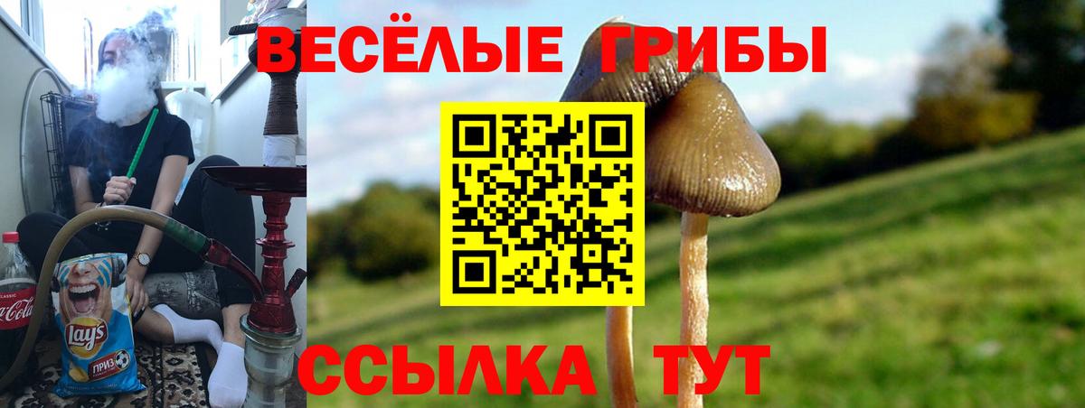 Псилоцибиновые грибы прущие грибы Комсомольск-на-Амуре